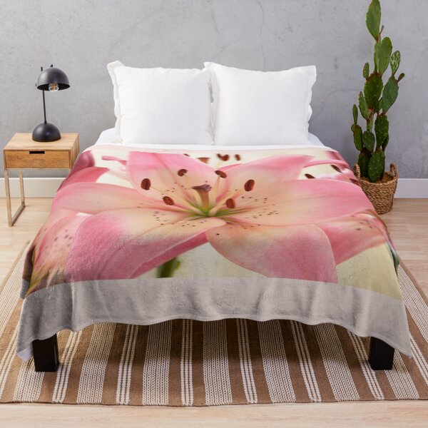 Item preview, Lilium  'Rosella's Dream'  Asiatic lily   designed and sold by Chris Burrows.