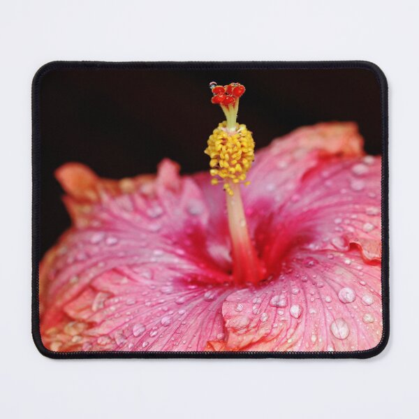 Item preview, Tropical Beauty designed and sold by Debbie Oppermann.