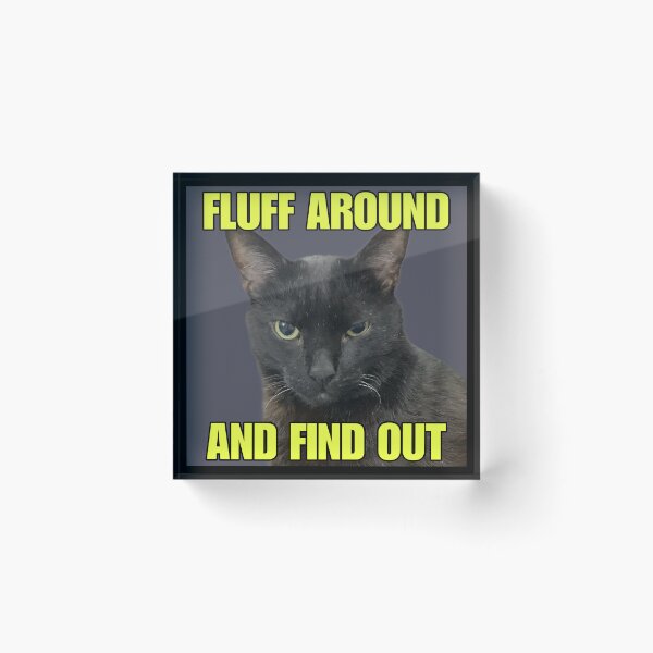 Item preview, Fluff Around and Find Out designed and sold by MannyShop.