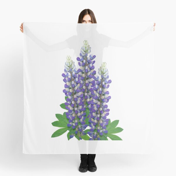 Blue and white lupine flowers Scarf