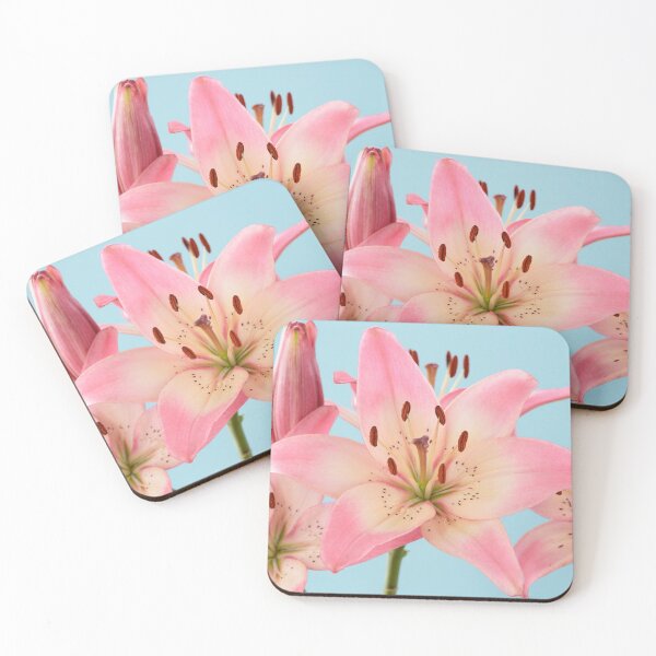Item preview, Lilium  'Rosella's Dream'  Asiatic lily   designed and sold by Chris Burrows.