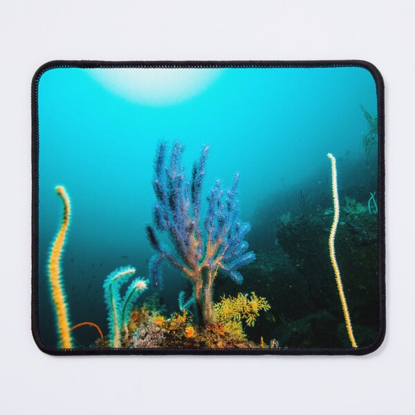 Item preview, Purple color Gorgonian and the sun background, Underwater photo designed and sold by tank200bar.