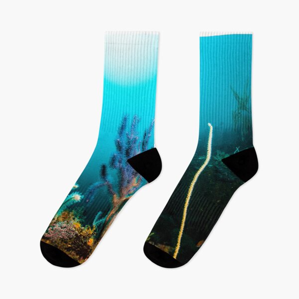 Item preview, Purple color Gorgonian and the sun background, Underwater photo designed and sold by tank200bar.