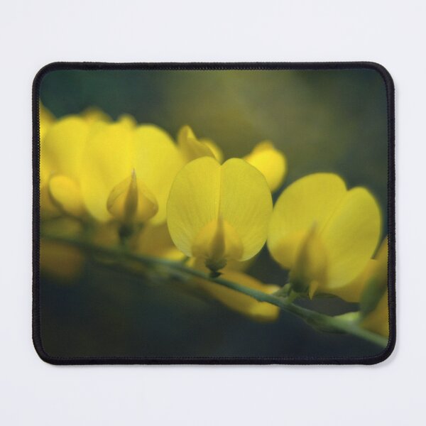 Item preview, Watercolors designed and sold by okomedesign.