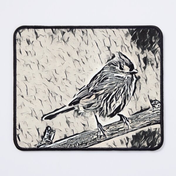 Item preview, Tufted Titmouse designed and sold by Photography2Art.