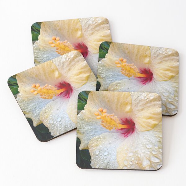 Item preview, Hibiscus Flower designed and sold by TonySlattery.