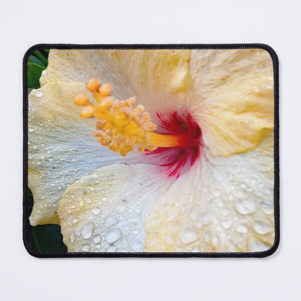 Item preview, Hibiscus Flower designed and sold by TonySlattery.