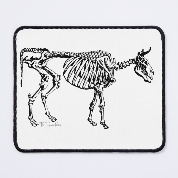 Item preview, Cow Skeleton designed and sold by TheTurquoiseVet.