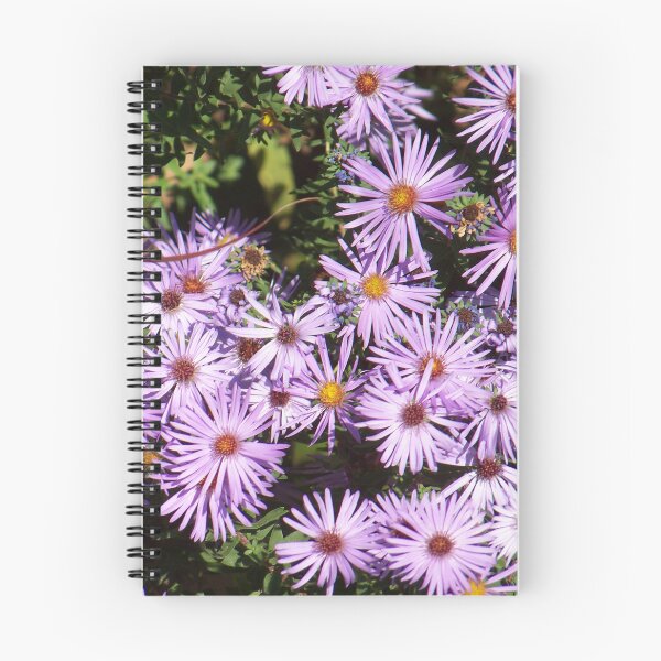Item preview, New England Aster designed and sold by okomedesign.