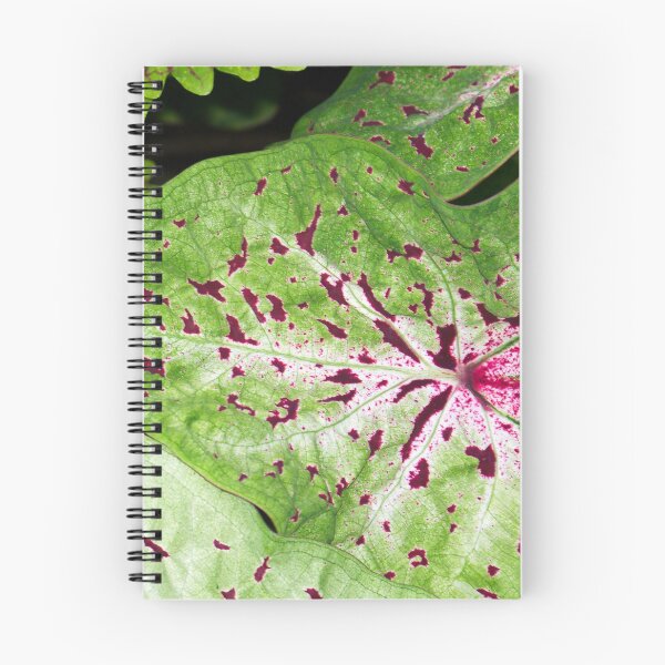 Item preview, Caladium Spots designed and sold by okomedesign.