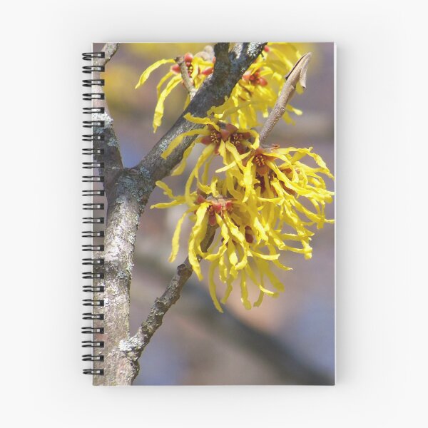 Item preview, Sunny Hazel designed and sold by okomedesign.