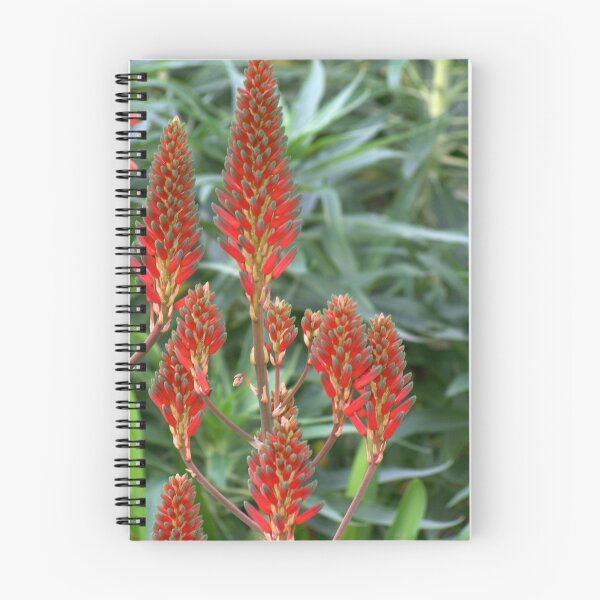 Item preview, Firecrackers designed and sold by okomedesign.