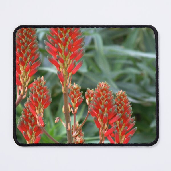 Item preview, Firecrackers designed and sold by okomedesign.