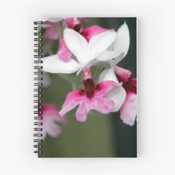 Item preview, Calanthe designed and sold by okomedesign.