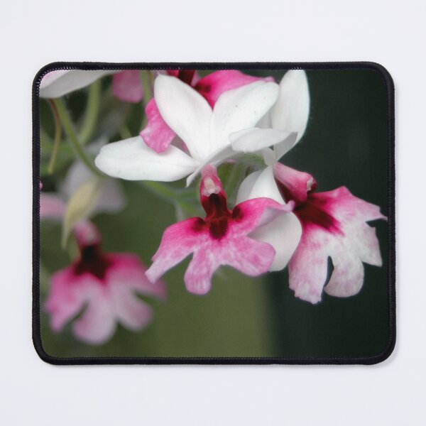 Item preview, Calanthe designed and sold by okomedesign.