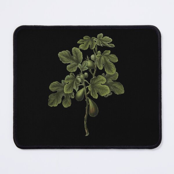 Item preview, Botanical Illustration Fig Tree designed and sold by acasada16.