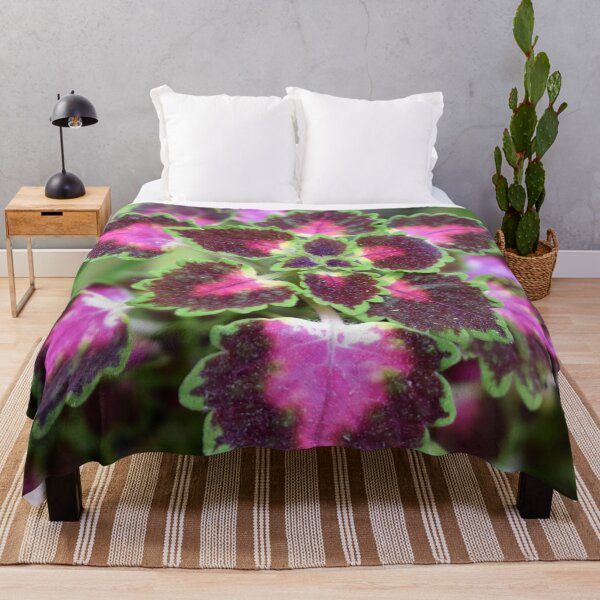 Item preview, Coleus Mosaic designed and sold by okomedesign.