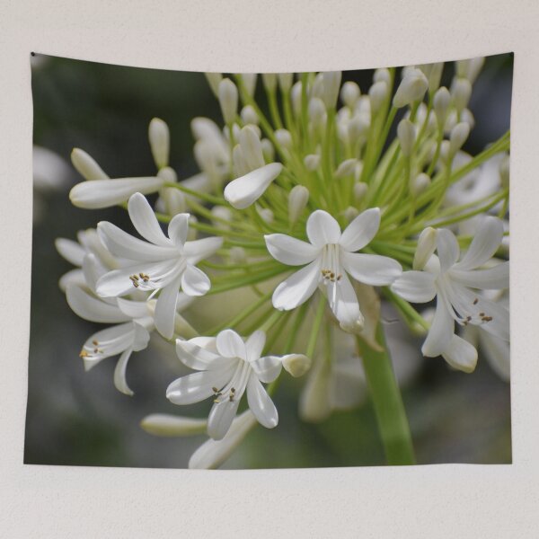 Item preview, Lily of the Nile designed and sold by okomedesign.