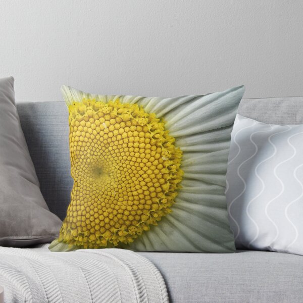 Item preview, Daisy Face designed and sold by Jason Tompkins.
