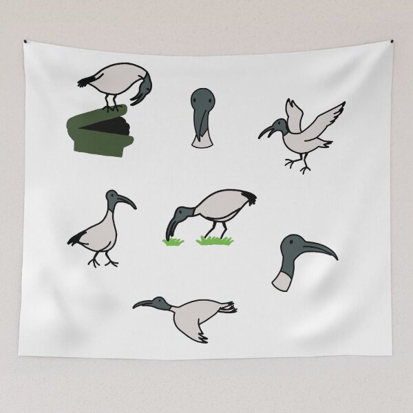 Artikelvorschau, Bin Chicken Australian Ibis entworfen und verkauft von PeterCreates.