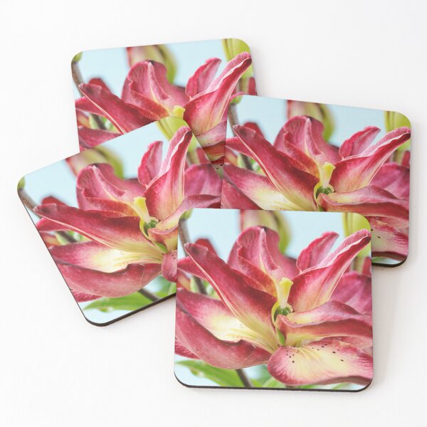 Item preview, Lilium  'Double Sensation'   Double Asiatic lily  designed and sold by Chris Burrows.