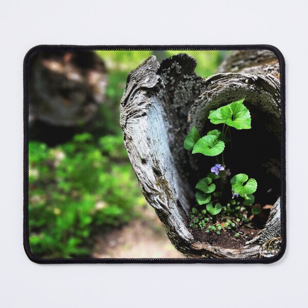 Item preview, Nook designed and sold by Jason Tompkins.