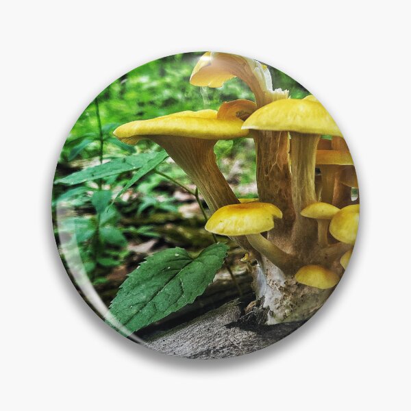 Item preview, Shroomies designed and sold by Jason Tompkins.