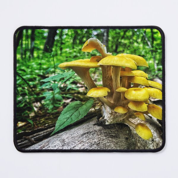Item preview, Shroomies designed and sold by Jason Tompkins.