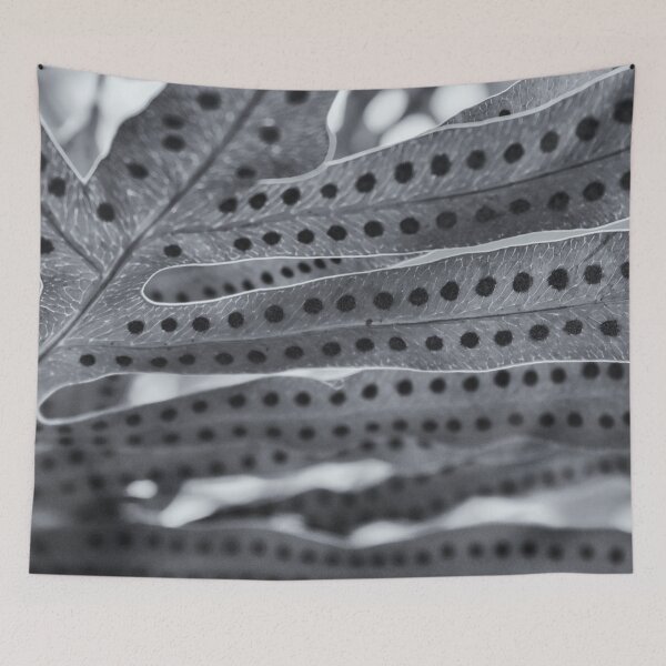 Item preview, backlit fern designed and sold by okomedesign.