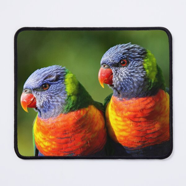 Item preview, Rainbow Lorikeets designed and sold by TonySlattery.