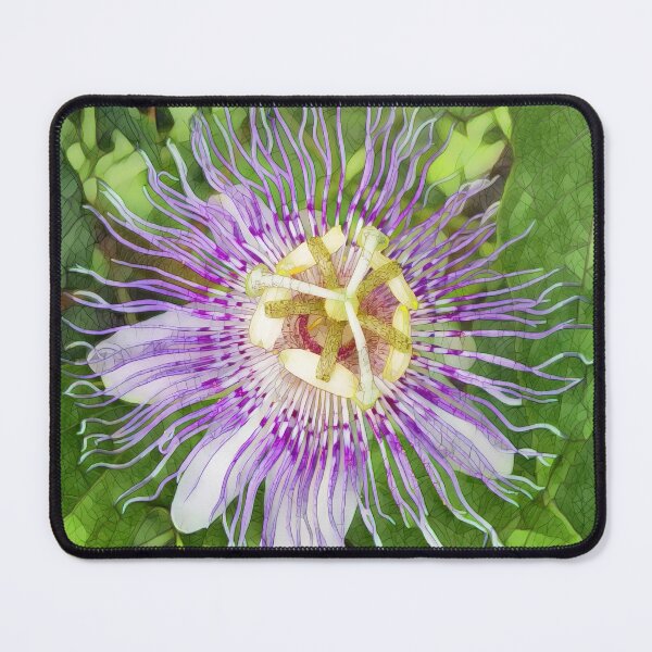 Item preview, Passion Flower Digital Art Design designed and sold by Heathermarie321.