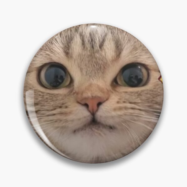 Item preview, Start Doing This Mewing Cat Face designed and sold by born2buyshirts.