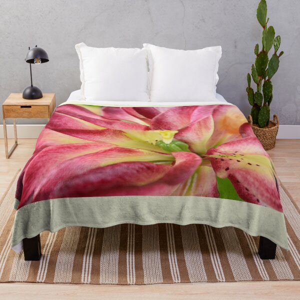 Item preview, Lilium  'Double Sensation'   Double Asiatic lily  designed and sold by Chris Burrows.