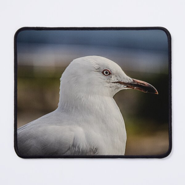 Item preview, I sea another gull designed and sold by CMFMediaOz.