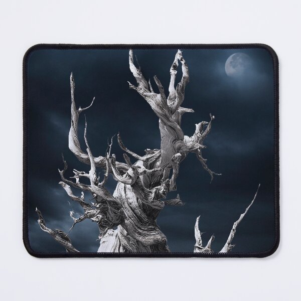 Item preview, The ghost of Pinus longaeva. designed and sold by Alex Preiss.