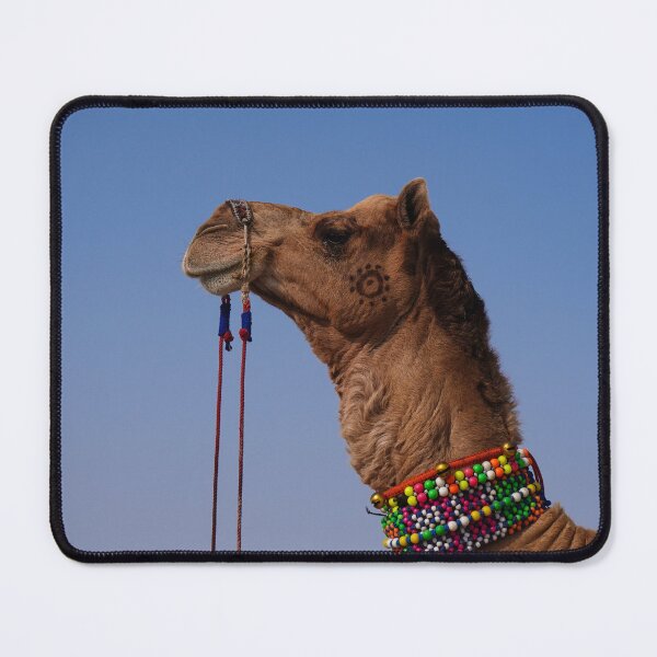 Item preview, Copy of Camel and Sky designed and sold by Vamp2DxZSmit.