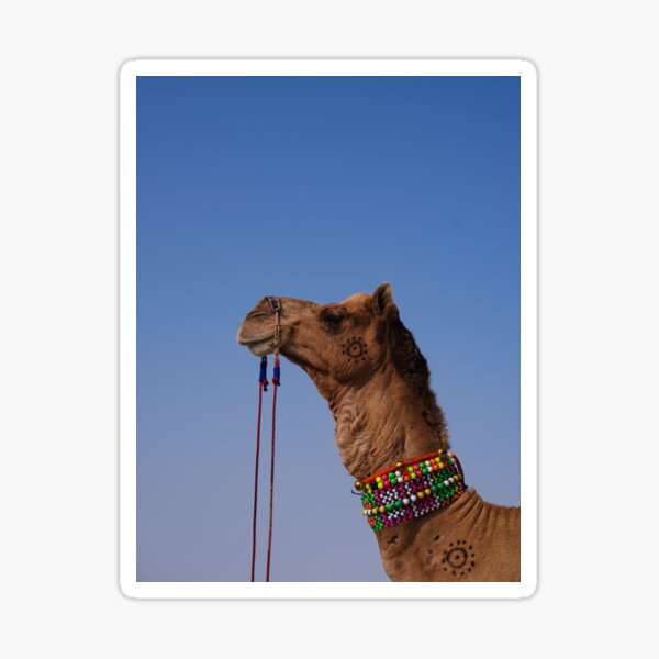 Item preview, Copy of Camel and Sky designed and sold by Vamp2DxZSmit.