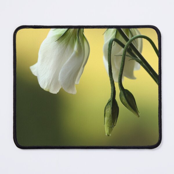 Item preview, Eustoma flowers designed and sold by Catrinann.