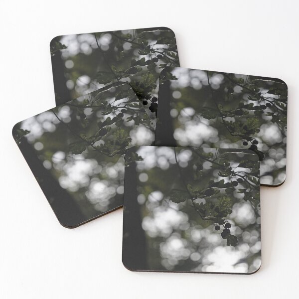 Item preview, Woodland Hawthorn designed and sold by Calidris Fotografie Steffi & Ben Köppler.