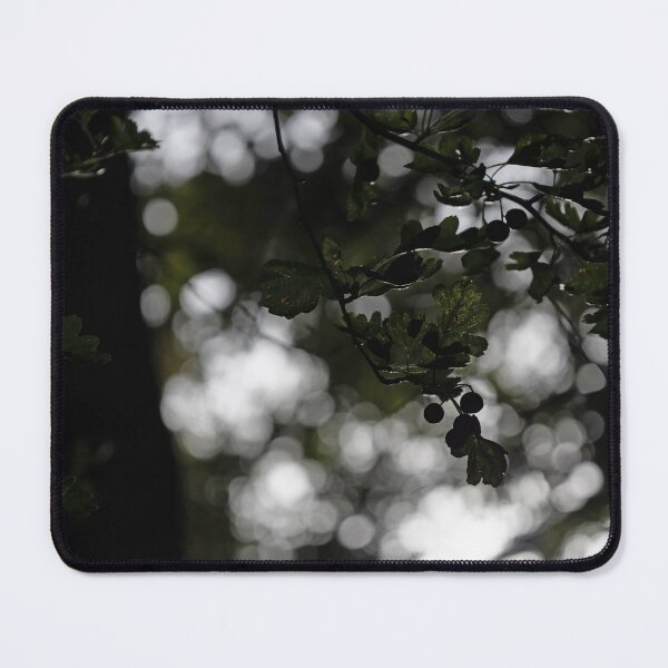 Item preview, Woodland Hawthorn designed and sold by Calidris Fotografie Steffi & Ben Köppler.