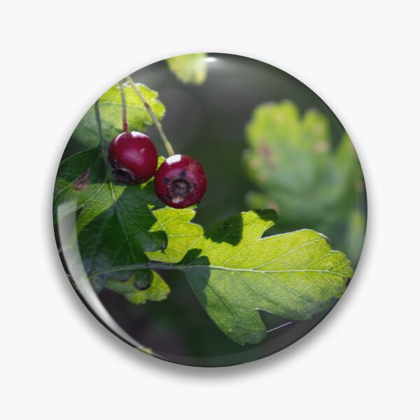 Item preview, Woodland Hawthorn designed and sold by Calidris Fotografie Steffi & Ben Köppler.