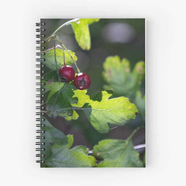 Item preview, Woodland Hawthorn designed and sold by Calidris Fotografie Steffi & Ben Köppler.