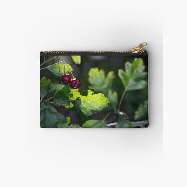 Item preview, Woodland Hawthorn designed and sold by Calidris Fotografie Steffi & Ben Köppler.