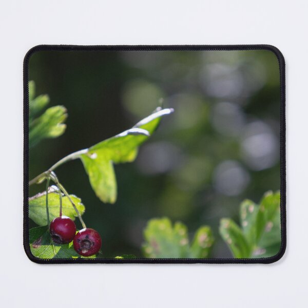 Item preview, Woodland Hawthorn designed and sold by Calidris Fotografie Steffi & Ben Köppler.