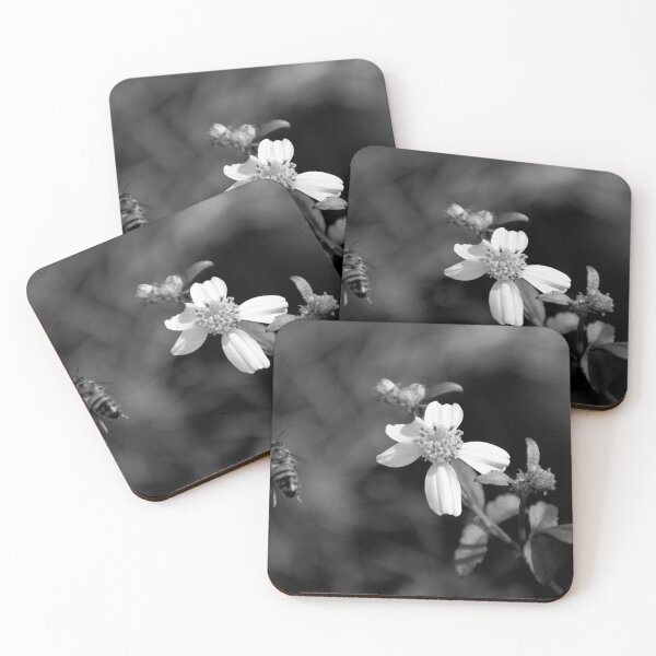 Item preview, Bidens Alba and Honeybee Black And White designed and sold by MercerImages.