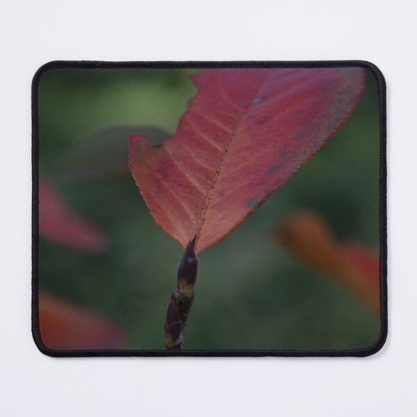 Item preview, Red Leaf designed and sold by Calidris Fotografie Steffi & Ben Köppler.