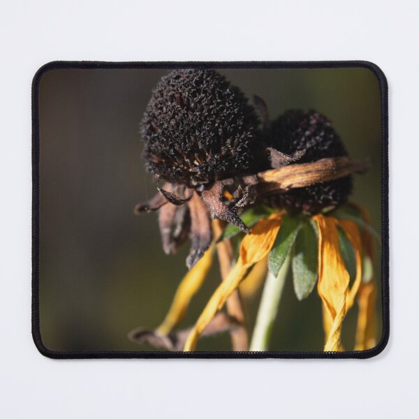 Item preview, Black-eyed Susan designed and sold by Calidris Fotografie Steffi & Ben Köppler.