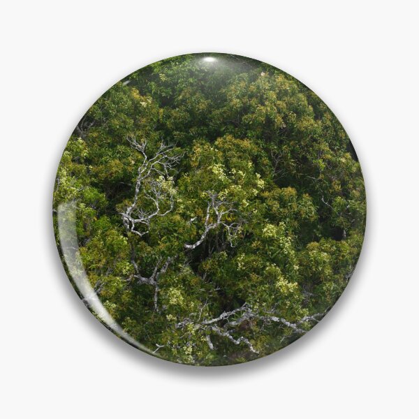 Item preview, An aerial view over Cairns rainforest, Australia designed and sold by EAnneH.