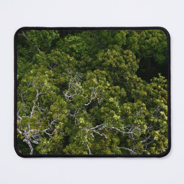 Item preview, An aerial view over Cairns rainforest, Australia designed and sold by EAnneH.