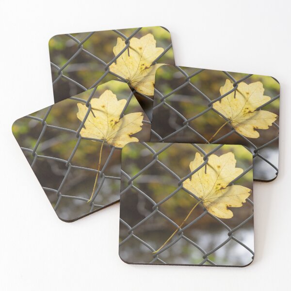 Item preview, Leaf Caught in a Fence designed and sold by Calidris Fotografie Steffi & Ben Köppler.